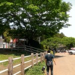 ゴールデンウィーク最終日は夏日〜神奈川県相模原にある牛さんに触れる服部牧場はそこそこ楽しめました〜