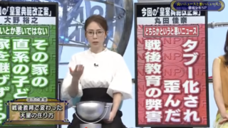 丸田佳奈さん！よくぞ言った！！〜天皇制の考え方の前提